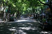 : : : : : : : PICT0303