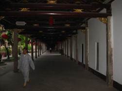 : : : : : : IMG_9801