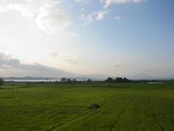 : : : : : : IMG_7892