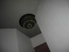 : : : : : : : : : IMG_1292