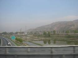 : : : : : : : IMG_8874