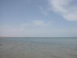 : : : : : : : IMG_8922