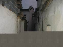 : : : : : : : : : IMG_1799