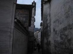 : : : : : : : : : IMG_1806