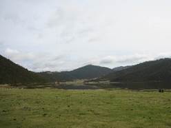 : : : : : : IMG_5866