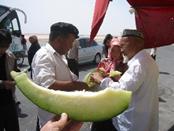 : : : : : : IMG_6635